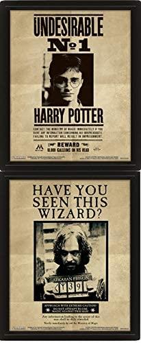 Harry Potter - Affiche lenticulaire 3D Harry Potter et Sirius Black -  28,7 x 23,5cm