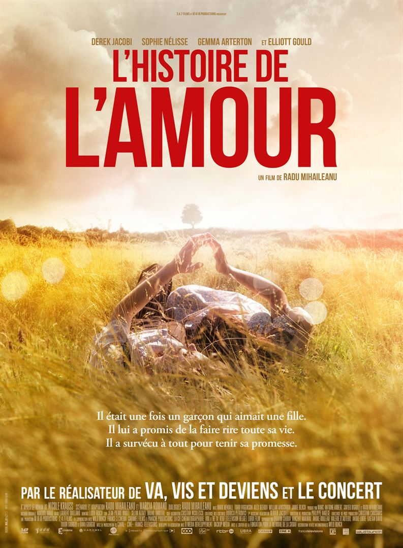 L'Histoire de l'Amour [DVD à la location] - flash vidéo