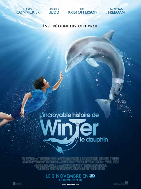 L'Incroyable Histoire de Winter le Dauphin [DVD à la location] - flash vidéo