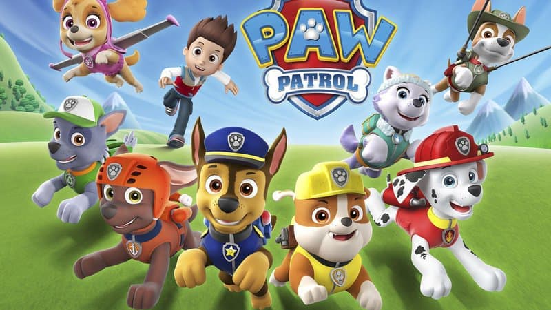 STICKERS Holo PAT PATROUILLE (PAW PATROL) - flash vidéo