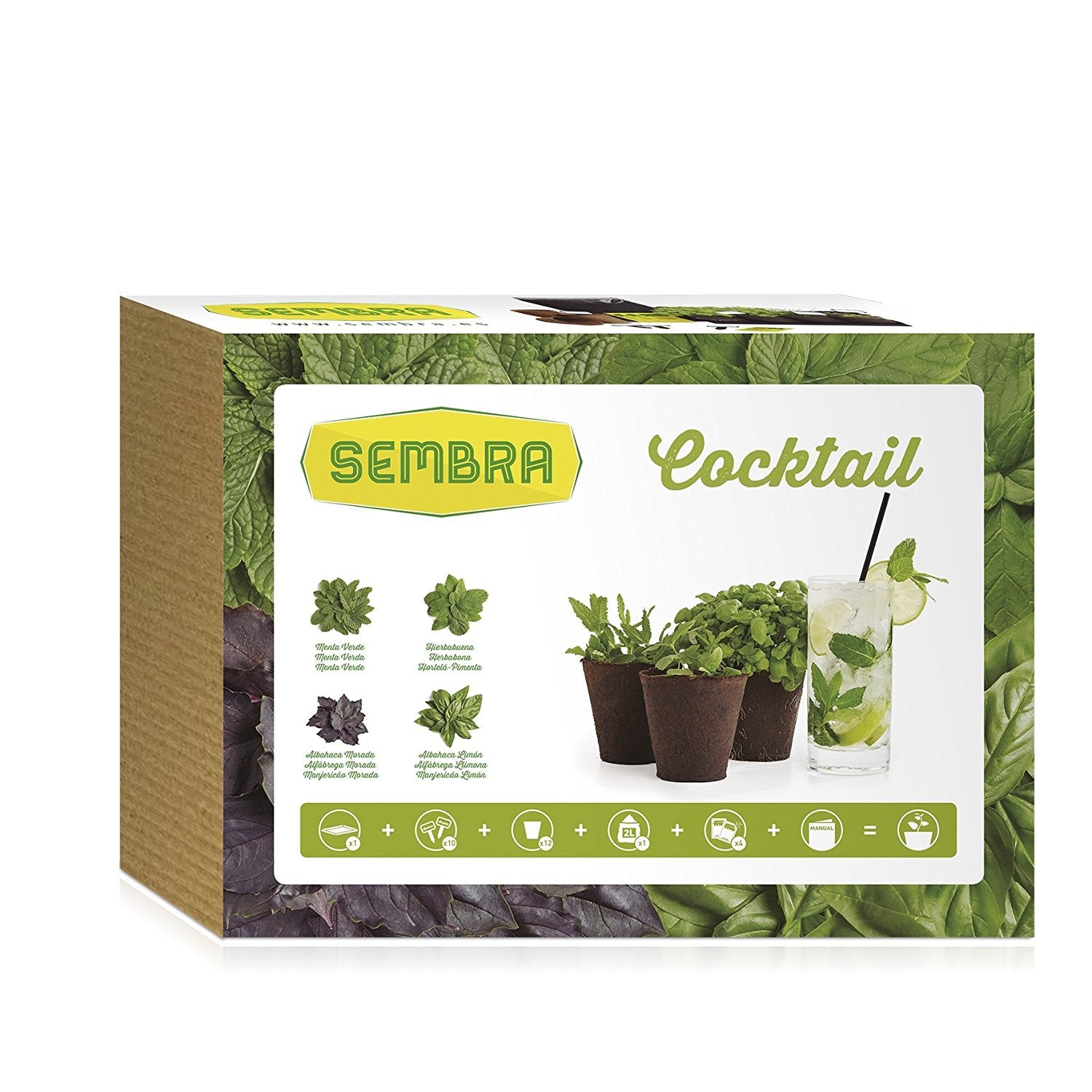 Sembra Adult - Kit Cocktail - flash vidéo