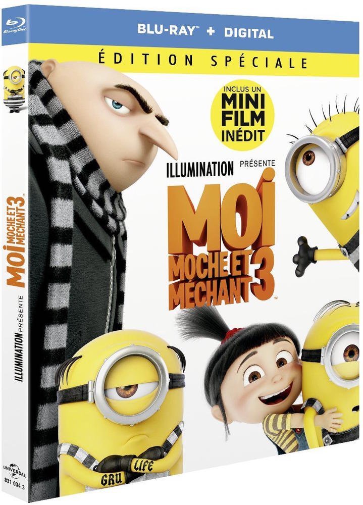 Moi Moche Et Méchant 3 - flash vidéo
