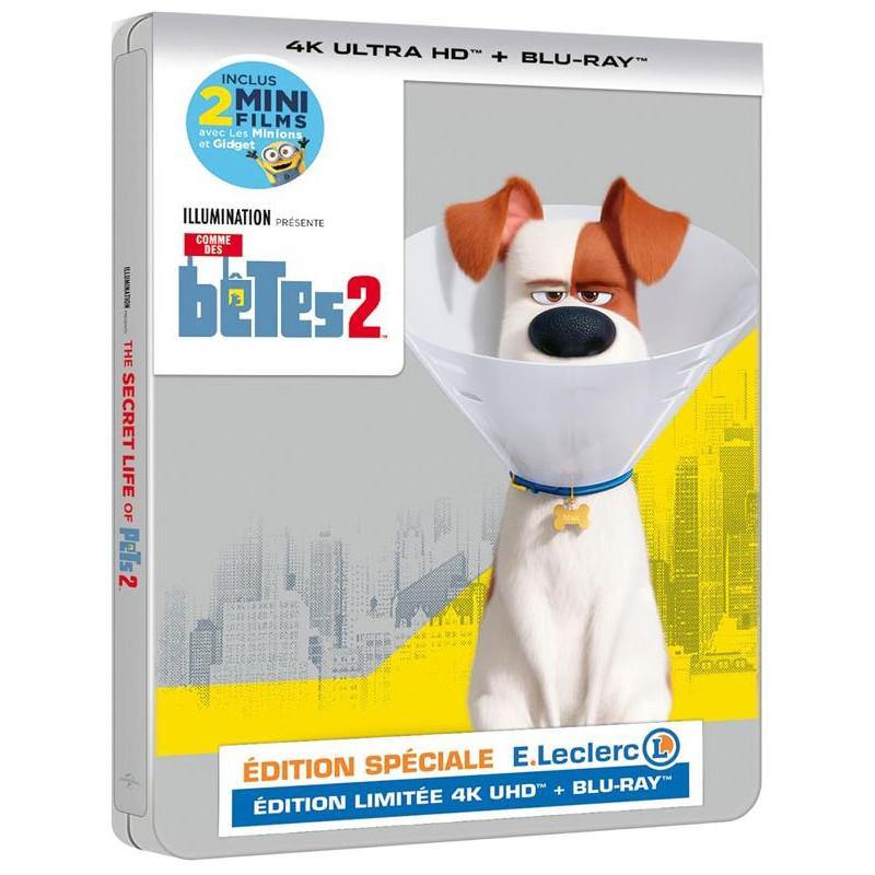 Comme Des Bêtes 2 [Combo Blu-Ray, Blu-Ray 4K] - flash vidéo