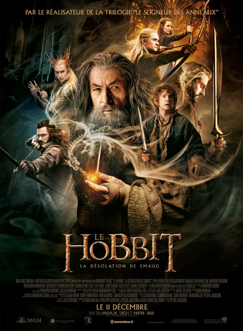 Le Hobbit : La Désolation de Smaug [DVD à la Location] - flash vidéo