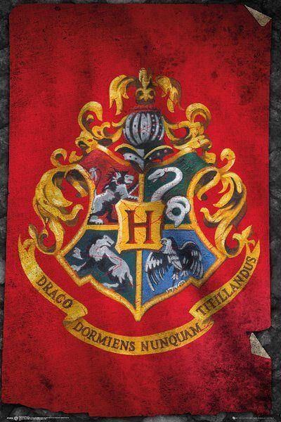 Harry Potter - Maxi Poster Hogwart's Flag - flash vidéo