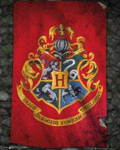 Harry Potter - Mini Poster Hogwart's Flag - flash vidéo