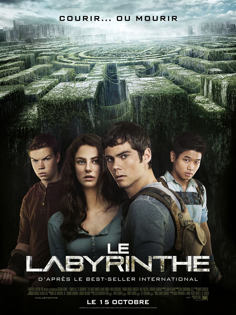 Le Labyrinthe [DVD à la Location] - flash vidéo