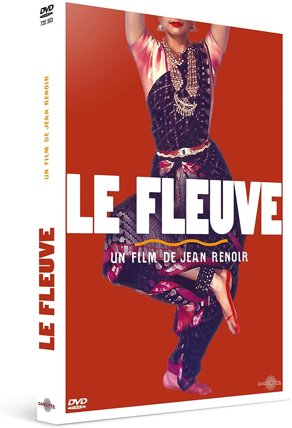 Le Fleuve [DVD] - flash vidéo