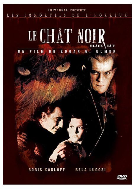 Le Chat Noir [DVD] - flash vidéo