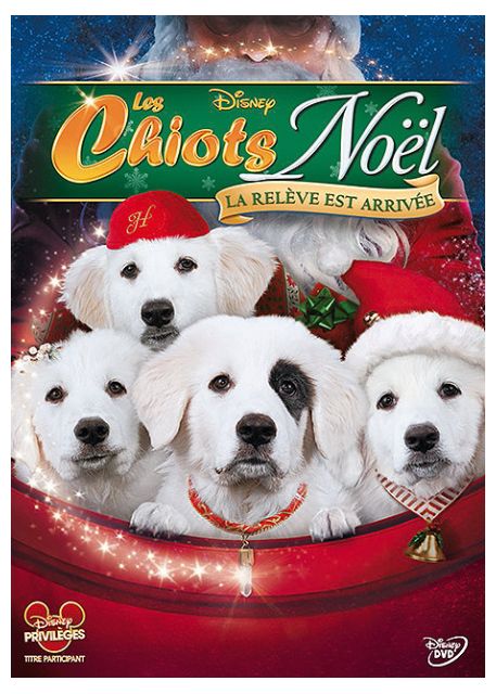 Les Chiots De Noël : La Relève Est Arrivée [DVD] - flash vidéo
