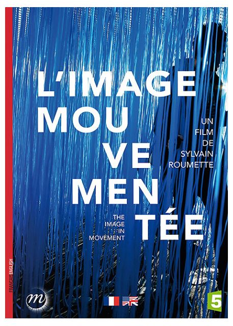 L'image Mouvementée [DVD] - flash vidéo