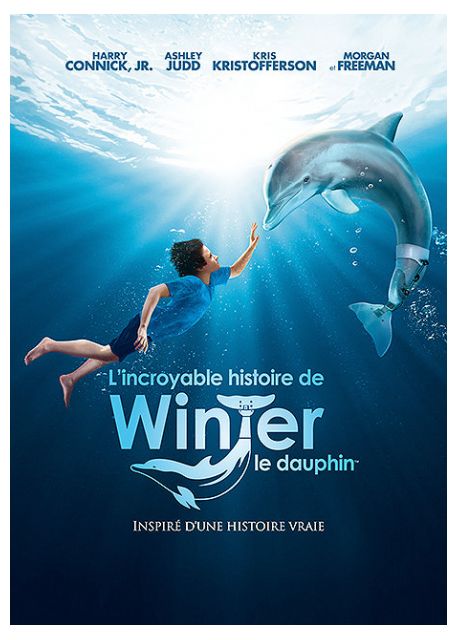 L'Incroyable Histoire de Winter le Dauphin [DVD à la location] - flash vidéo