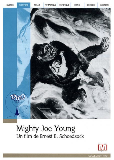 Monsieur Joe [DVD] - flash vidéo