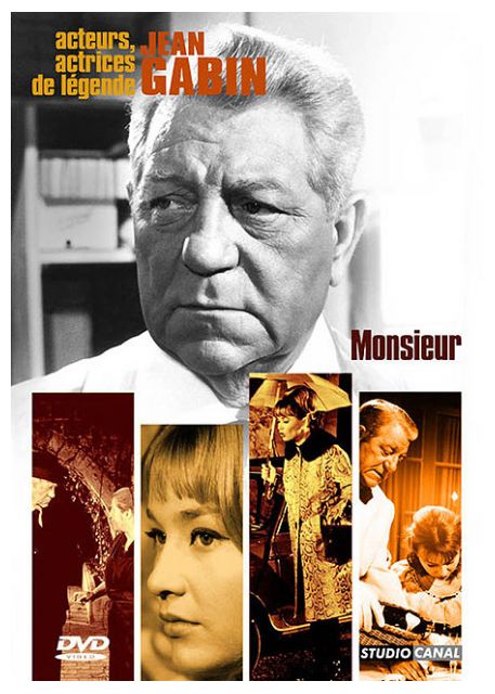 Monsieur [DVD] - flash vidéo