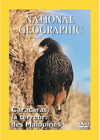 Caracaras, La Terreur Des Malouines [DVD] - flash vidéo