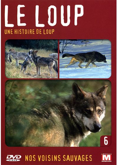 Le Loup [DVD] - flash vidéo