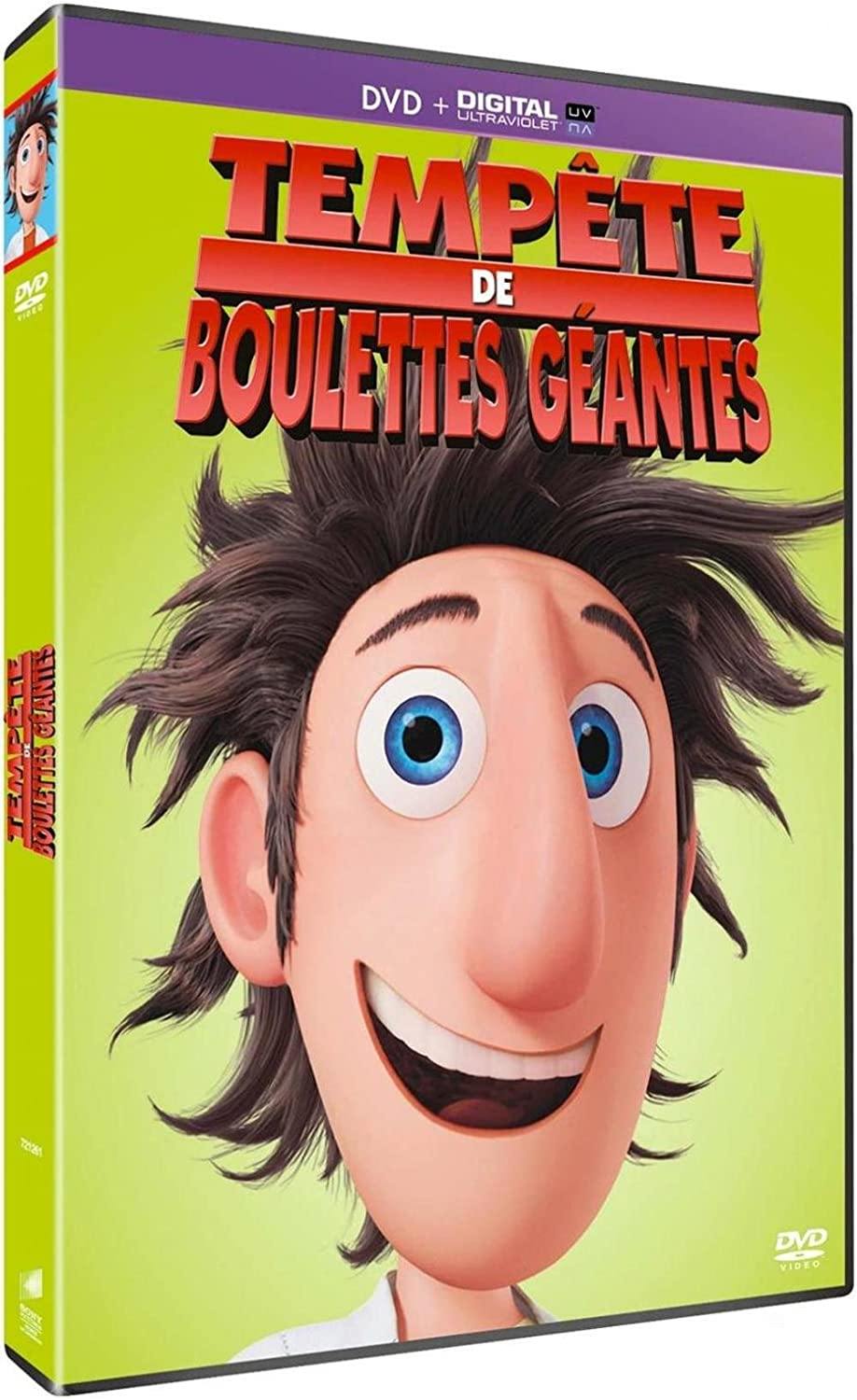 Tempête De Boulettes Géantes [DVD] - flash vidéo