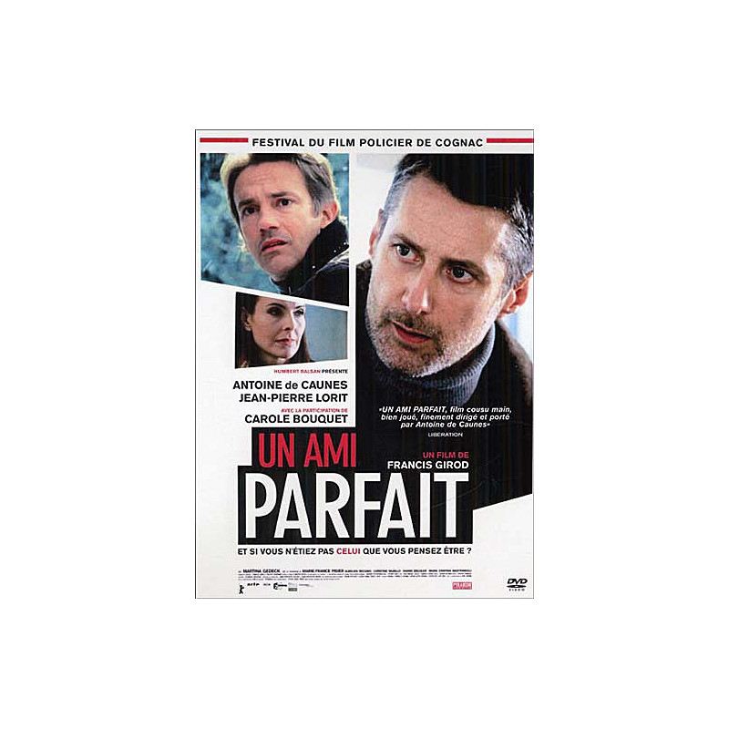 Un Ami Parfait [DVD] - flash vidéo