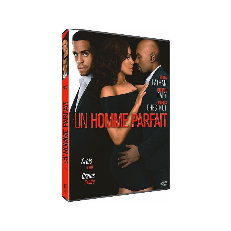 Un Homme Parfait [DVD] - flash vidéo
