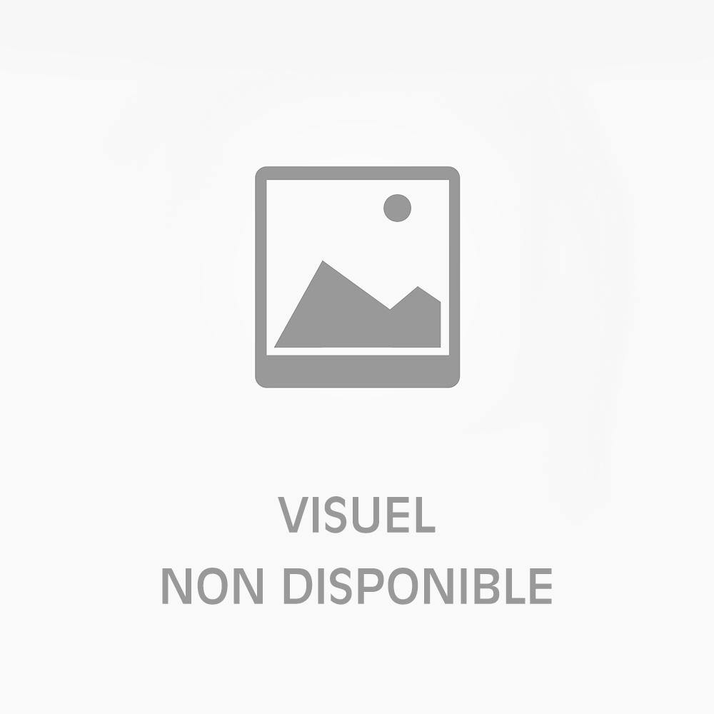 Naruto, Vol. 12 [DVD] - flash vidéo