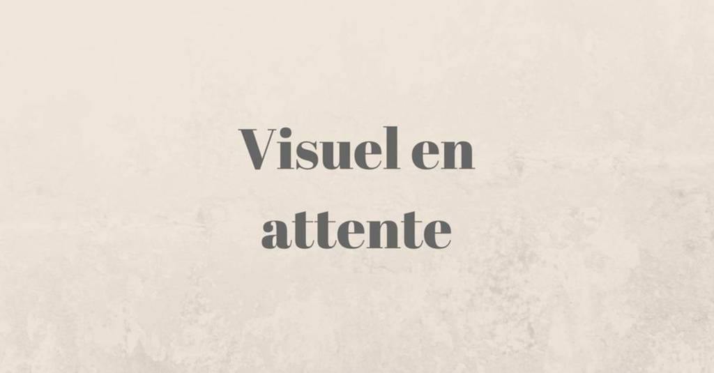 Coffret David Fincher 2 Films : Panic Room Millenium : Les Hommes Qui N'aimaient Pas Les Femmes [Combo Blu-Ray, Blu-Ray 4K] - flash vidéo